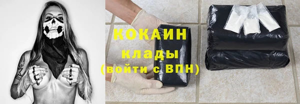 индика Алексеевка