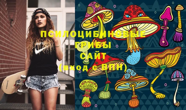 трава Пересвет