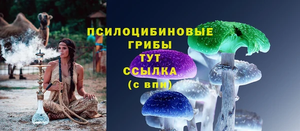 ГАЛЛЮЦИНОГЕННЫЕ ГРИБЫ Алзамай
