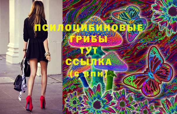 винт Алексин