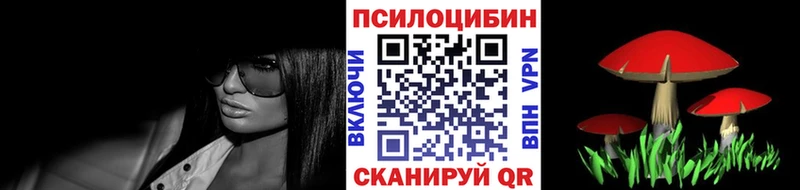 дарнет шоп  Фатеж  Псилоцибиновые грибы Cubensis 